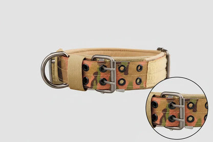 Collier chien tactique