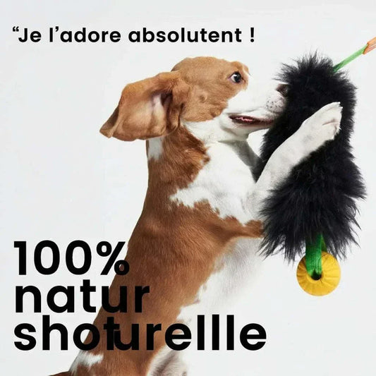 Jouet corde pour chien