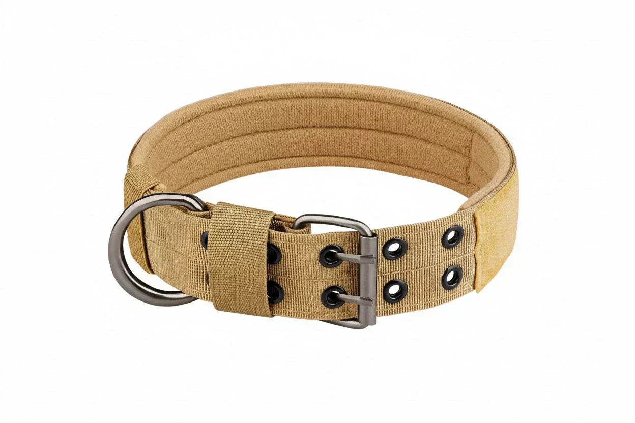 Collier chien tactique
