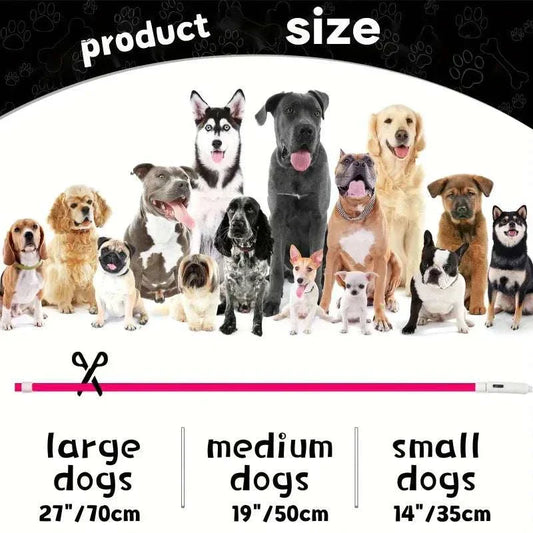 Collier lumineux pour chien