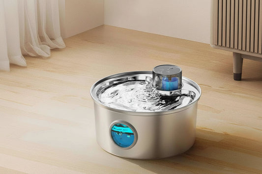 Fontaine à eau pour animal