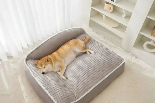 Maison pour chien et chat