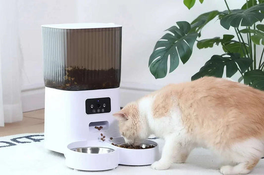 Distributeur de nourriture pour animaux